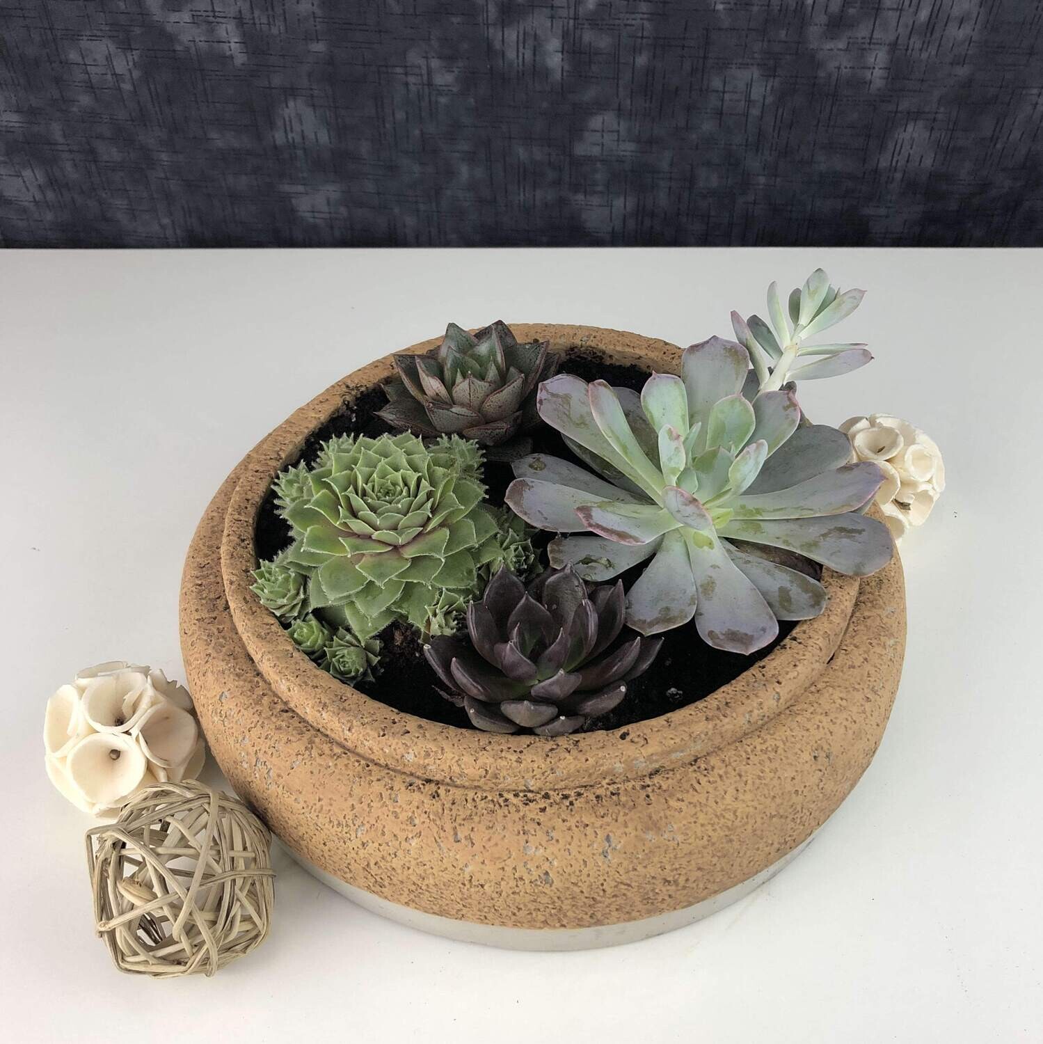Succulents Terrarium