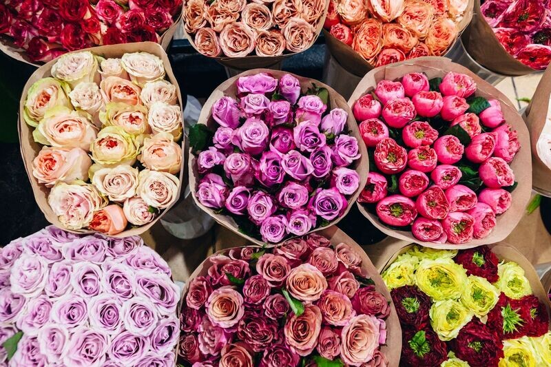 Flowers