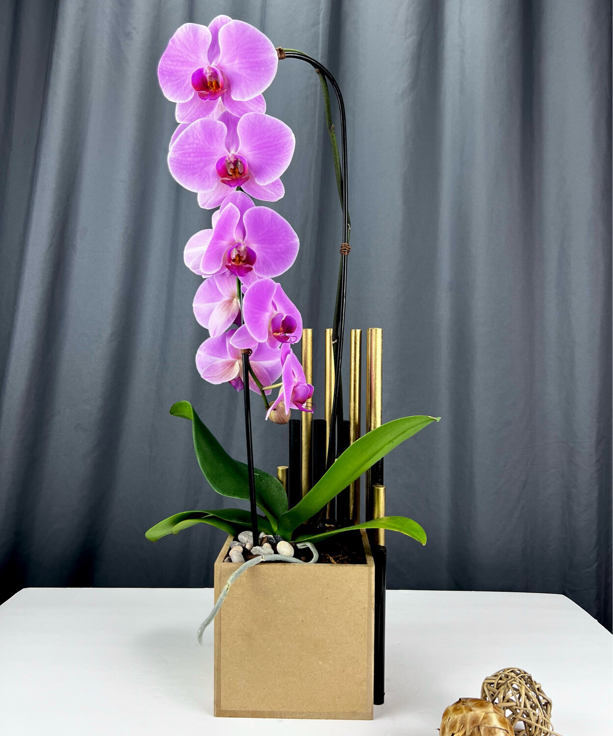 Artistic Orchid Planter