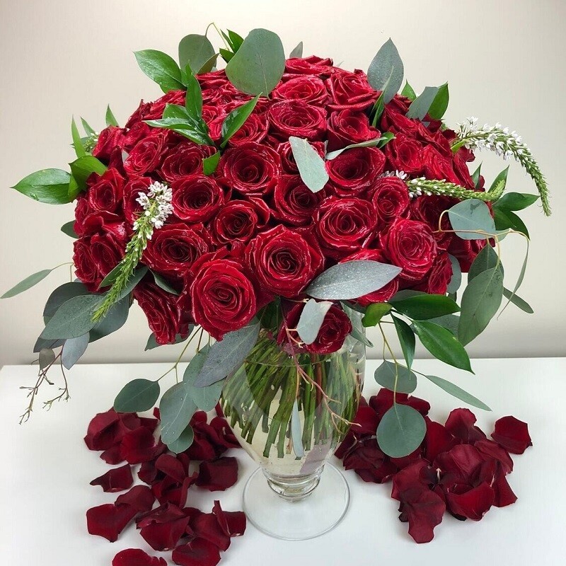 100 Roses in Maryland