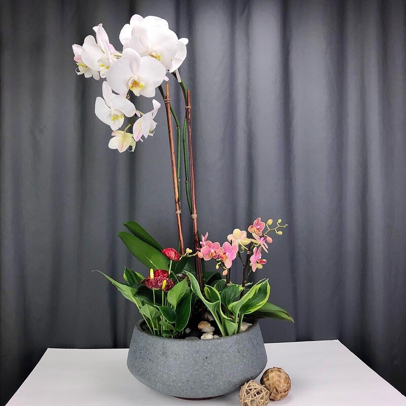Tropical Garden Bowl in Maryland