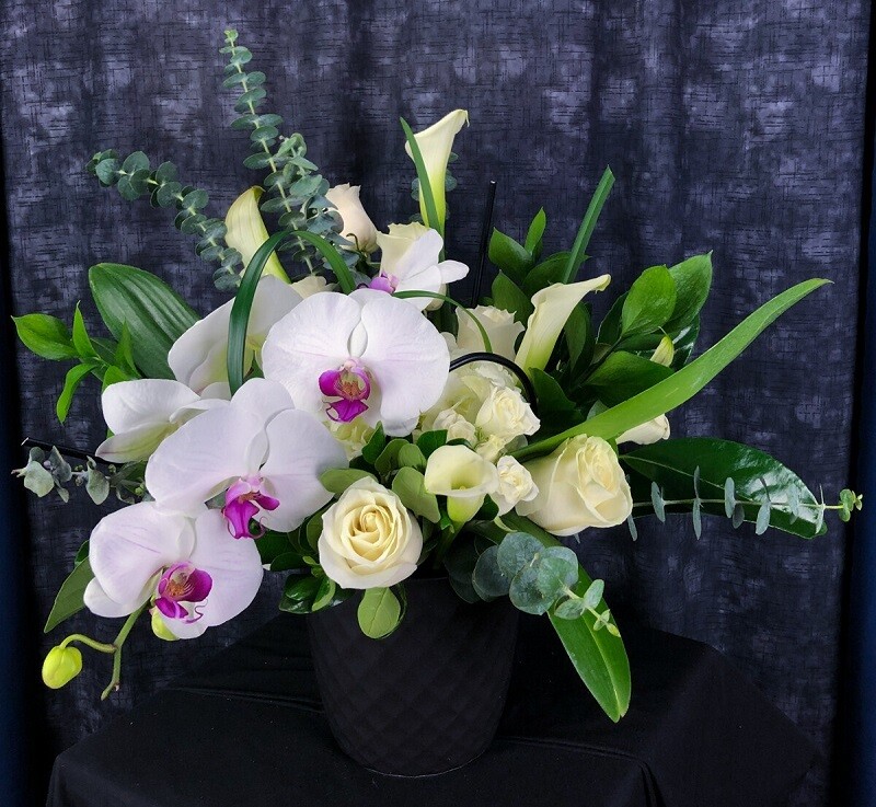 Dancing Orchids