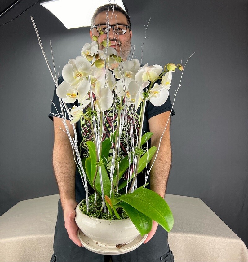 Two Plants 4 Stem Orchid Planter