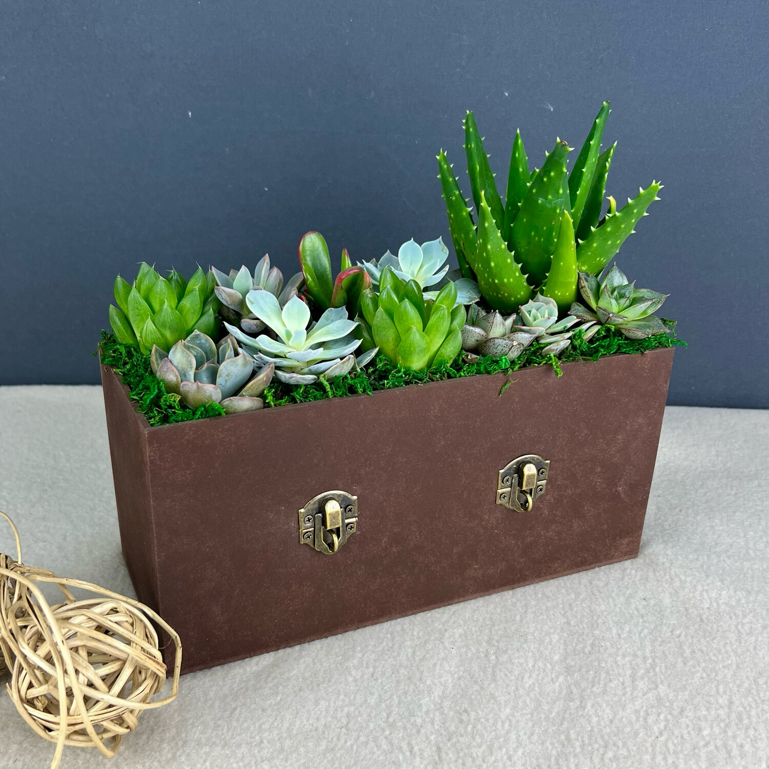 Box Of Succulents