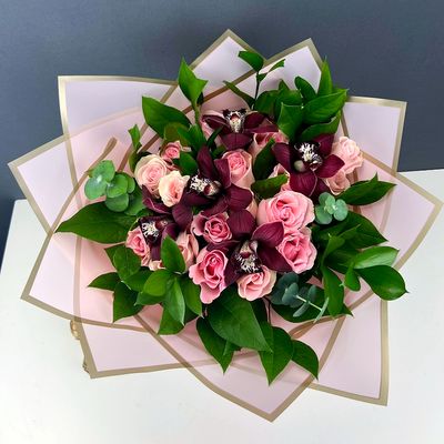 Cymbidium Rose Symphony