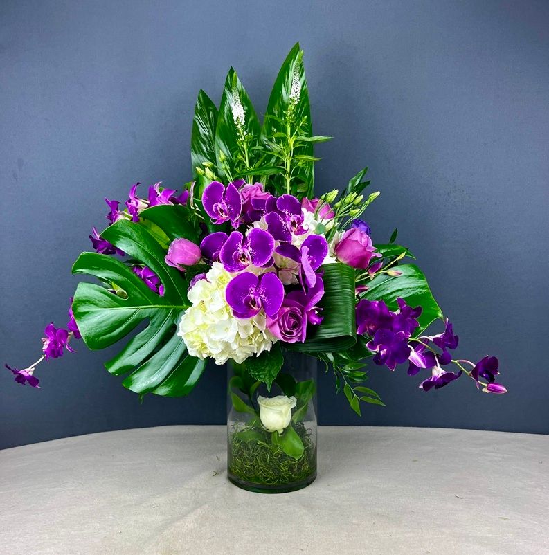 Amazon Purple