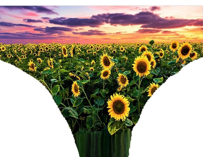 Child's Panties - (matching mother panties)