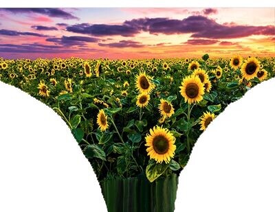 Child's Panties - (matching mother panties)