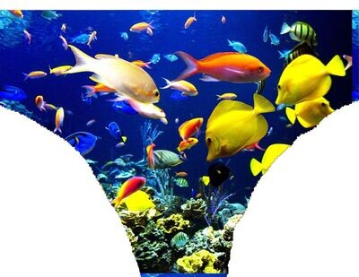 10. Mother's Tropical fish