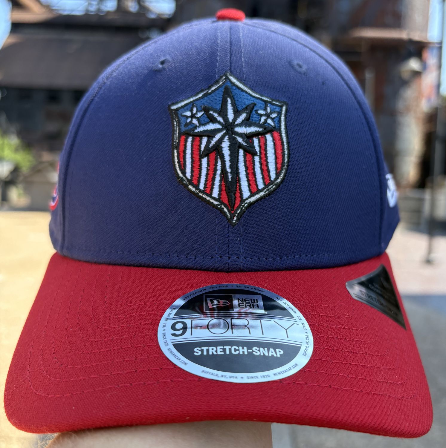 Iron Pigs x AQ USA 250 Cap
