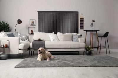TV Unit