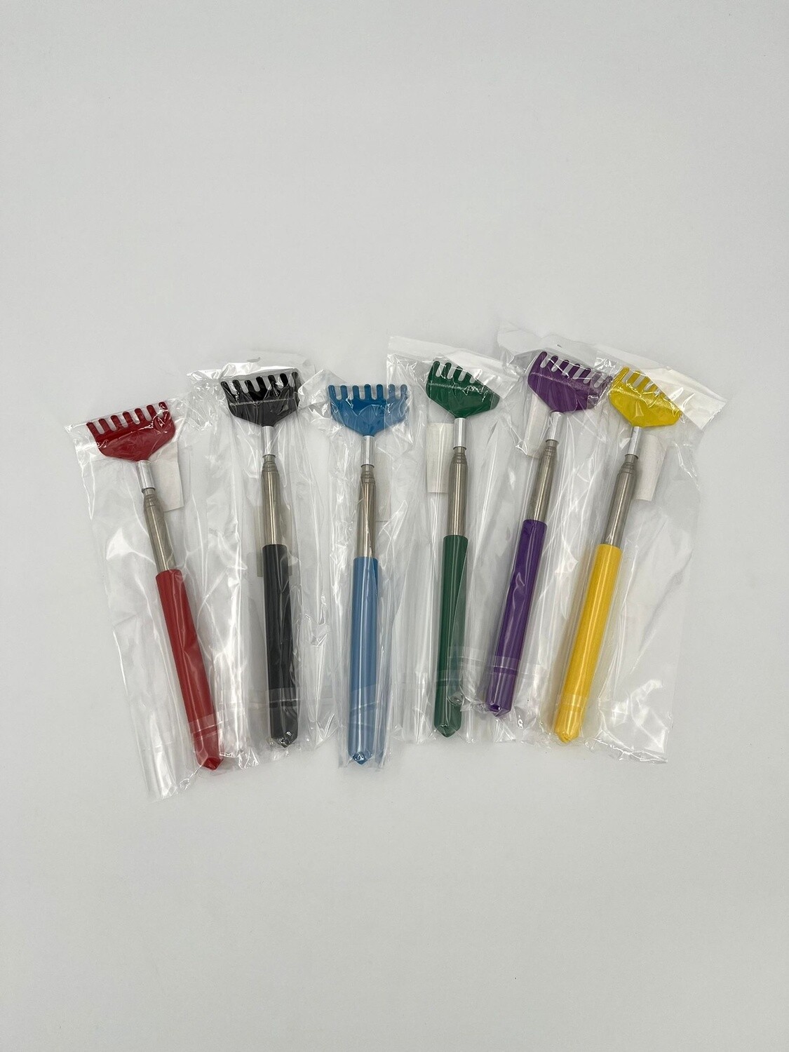 Ruggenkrabber 19 tot 67 cm