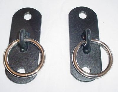 2 hole wall plate with ring   bondage equipment