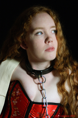 Simple Elegance Collar 1" Wide Dungeon Irons, Metal Restraints