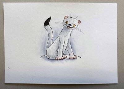 Ermine - Animal ABC (second version) Ermine - Animal ABC (second version)