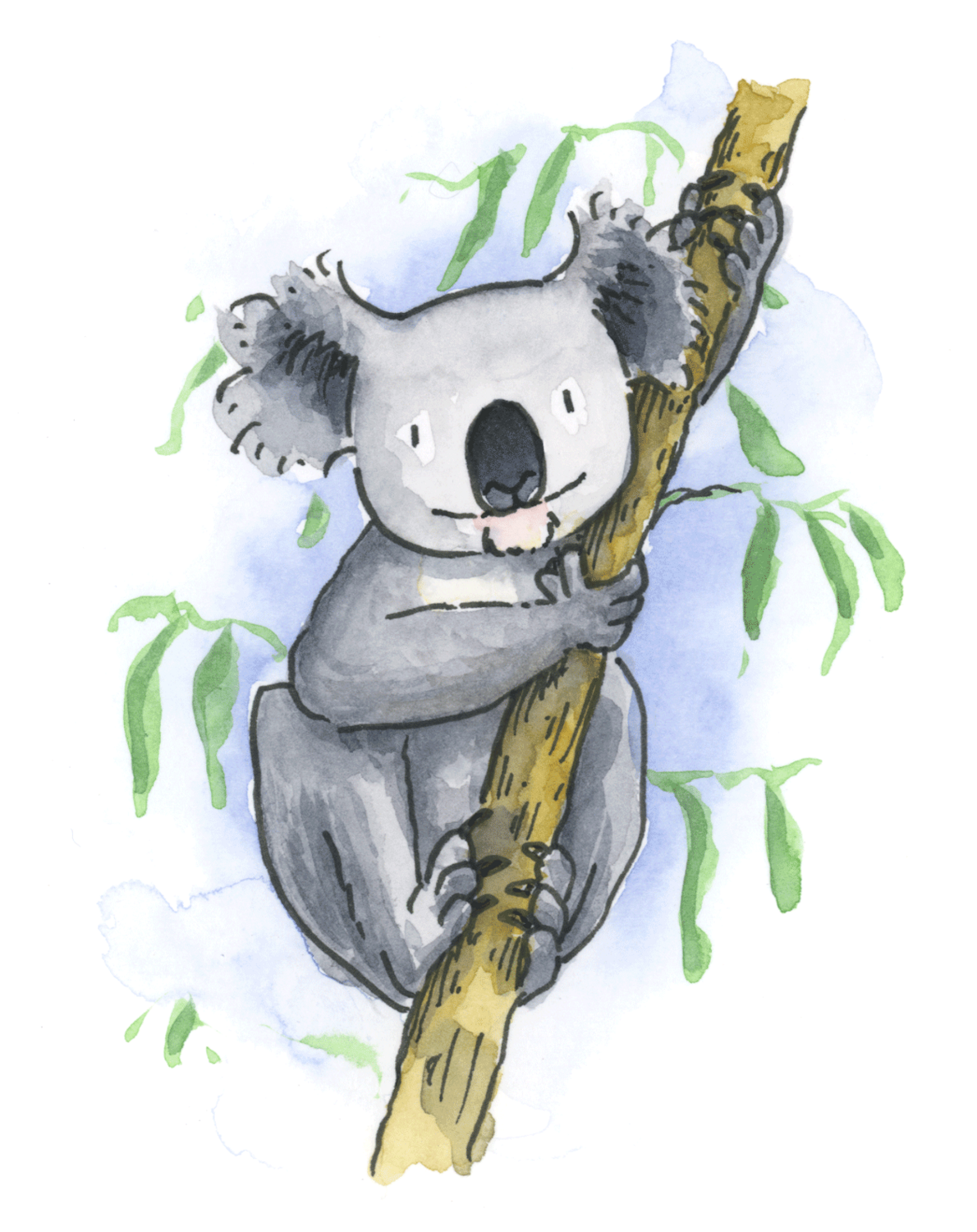 Koala Animal ABC