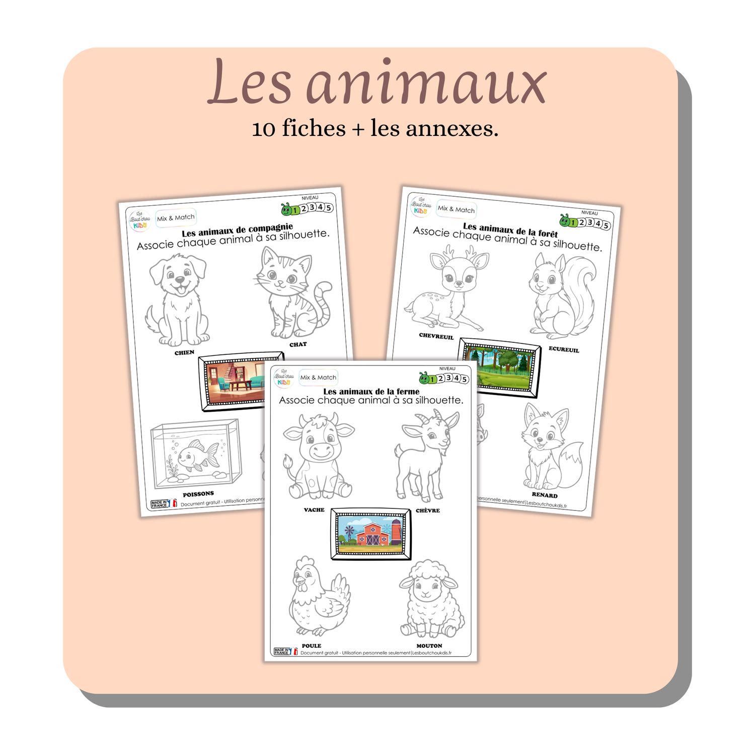 PACK - Les animaux PACK - Les animaux