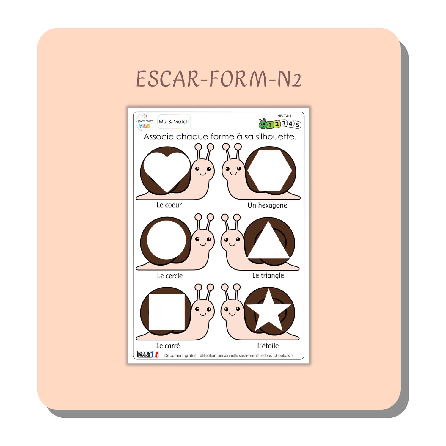 ESCAR-FORM-N2
