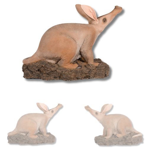 Aardvark