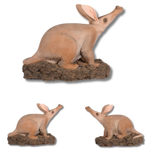 Aardvark