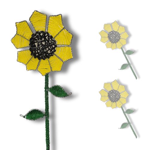 Sunflower - 70-80cm