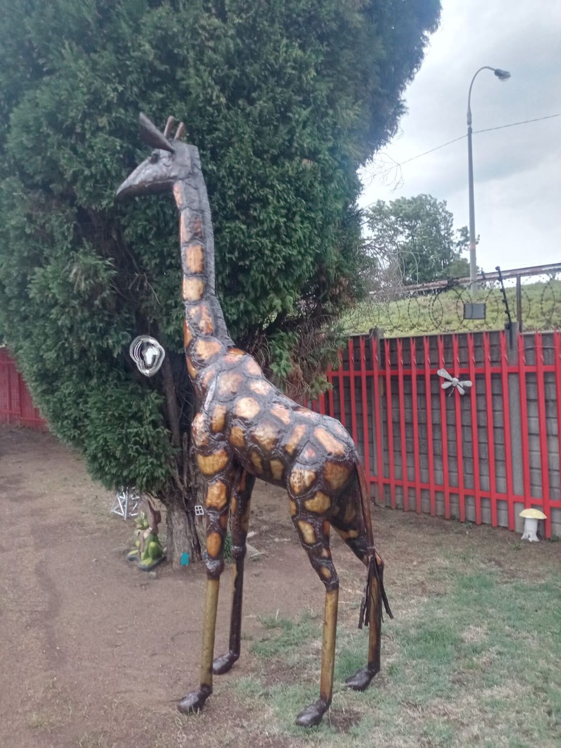 Giraffe 3.5m
