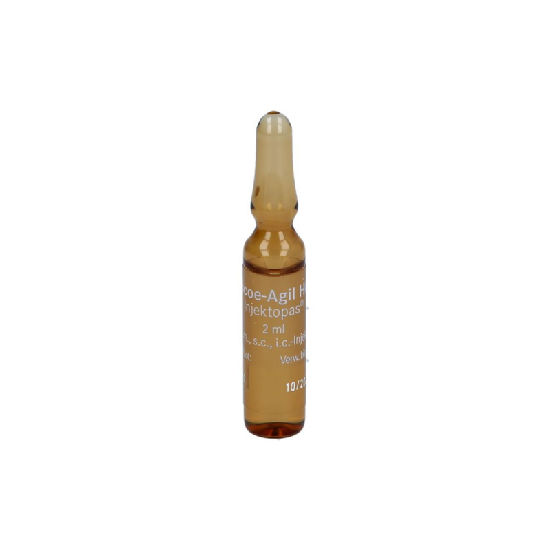 B1 Thiamine Injection Ampoules x 100mg