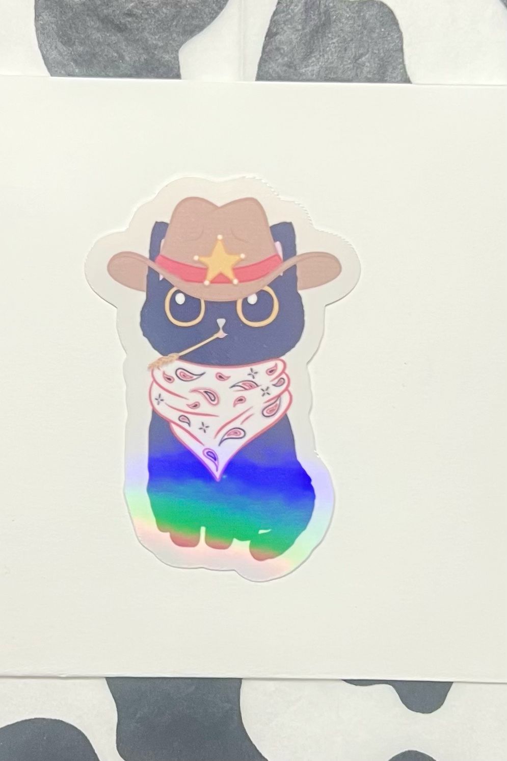 Cowboy Kitty