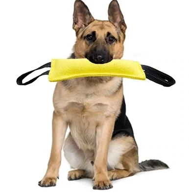 Dog Training Tug Durable Bite Pillow