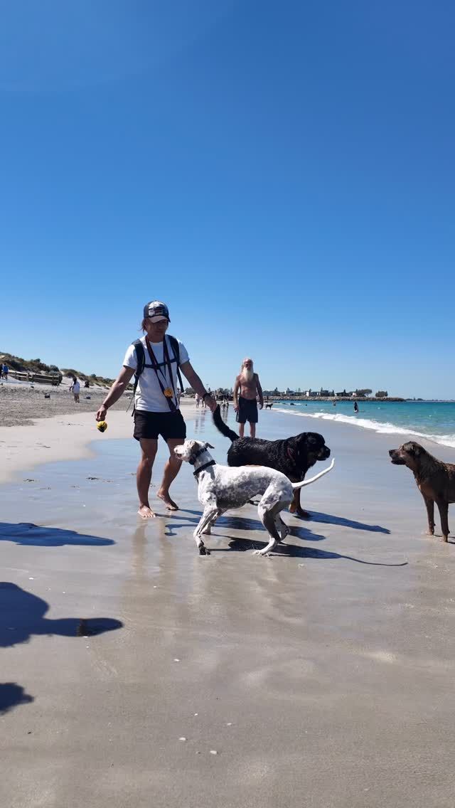 Swing and Fling Durafoam Tug Ball