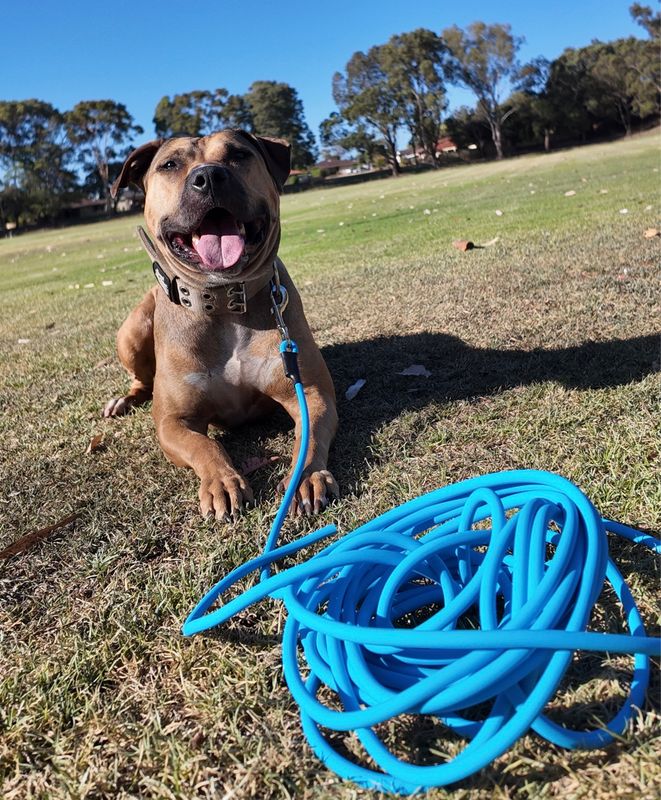 10 Metre Biothane Long Lead