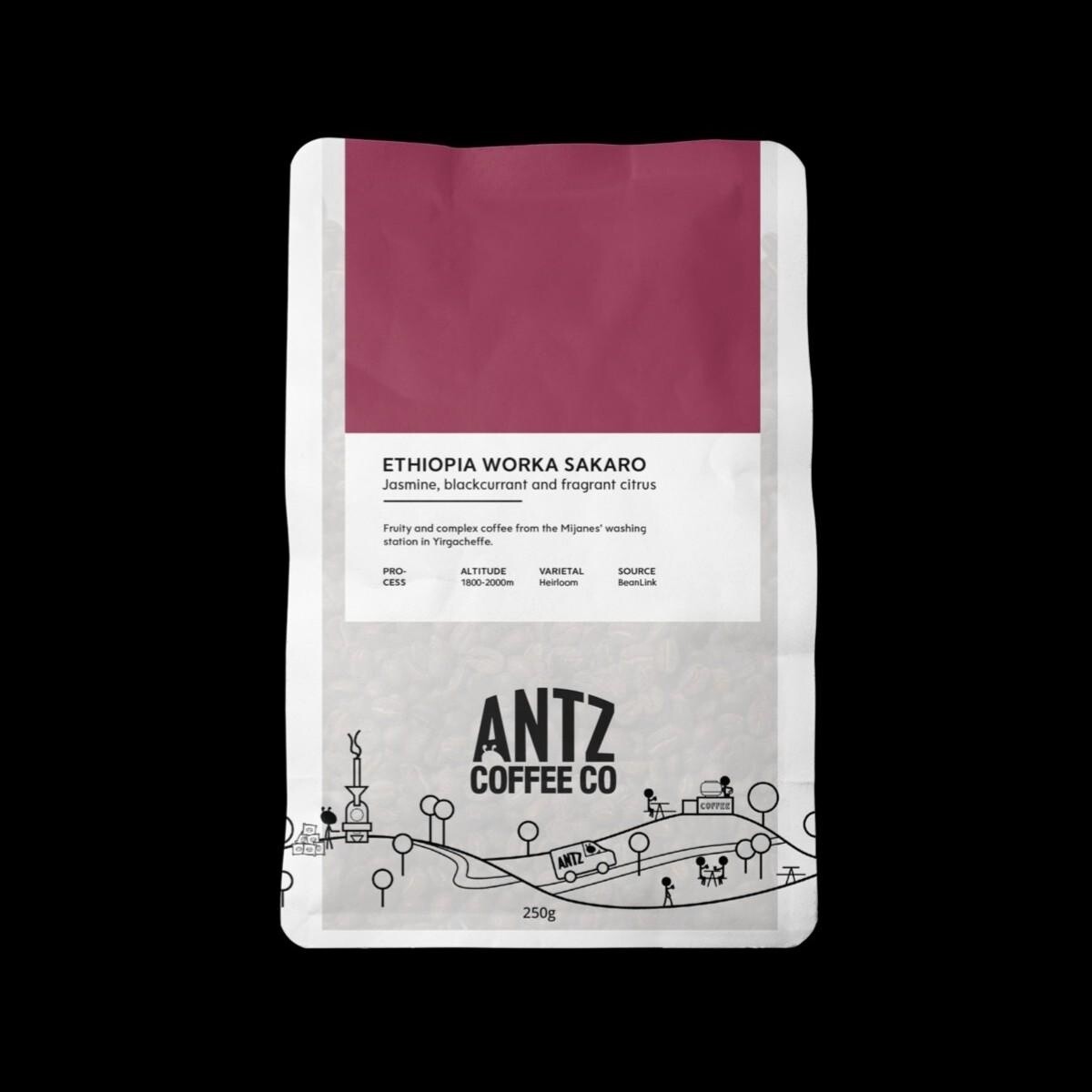 Antz Ethiopia Rachia, Size: 250g