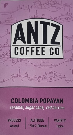 Antz Columbian Popayan