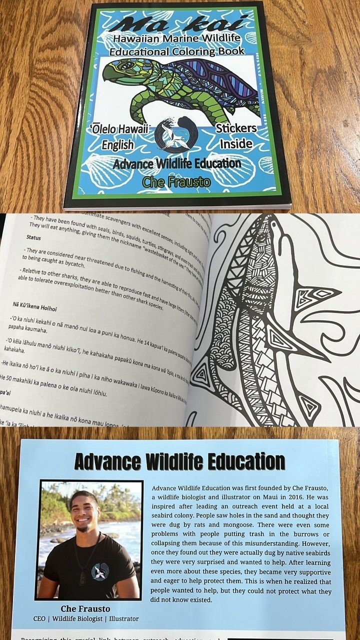 AWE | Coloring Book, Type: Marine Wildlife