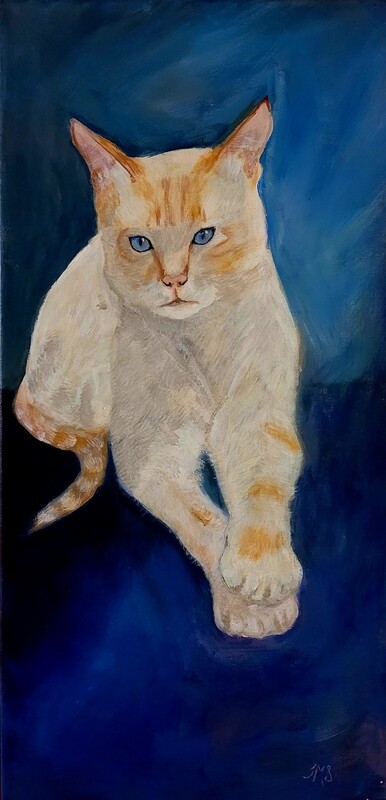 Cats
