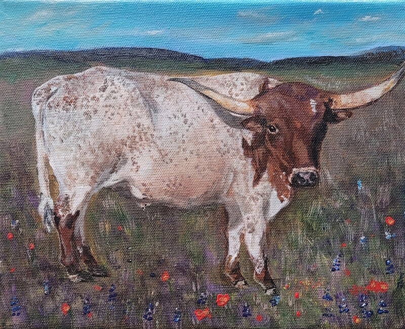 Longhorn Cattle