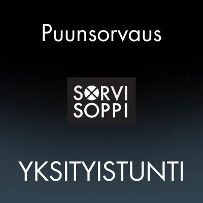 Puunsorvauksen yksityistunti (2h) sovittuna ajankohtana Puunsorvauksen yksityistunti (2h) sovittuna ajankohtana