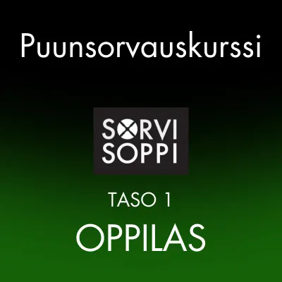 Puunsorvauskurssi Taso 1 OPPILAS 1 pv - LA 22.3.2025