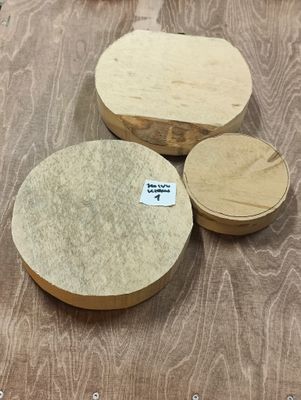 Koivukiekkoaihiot 3 kpl eri kokoja, erä 1