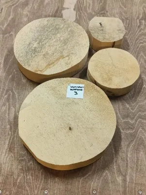 Koivukiekkoaihiot 3 kpl eri kokoja, erä 1