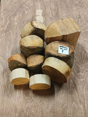 Koivu- ja pihlaja-aihiot, erä 1