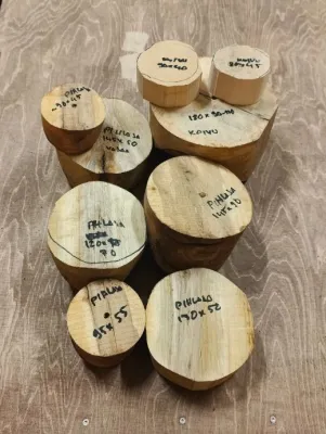 Koivu- ja pihlaja-aihiot, erä 1