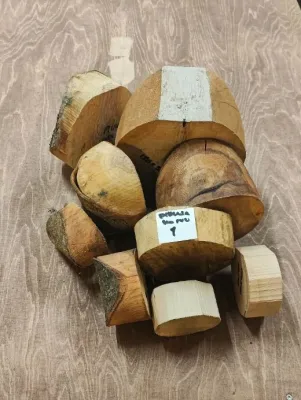 Koivu- ja pihlaja-aihiot, erä 1