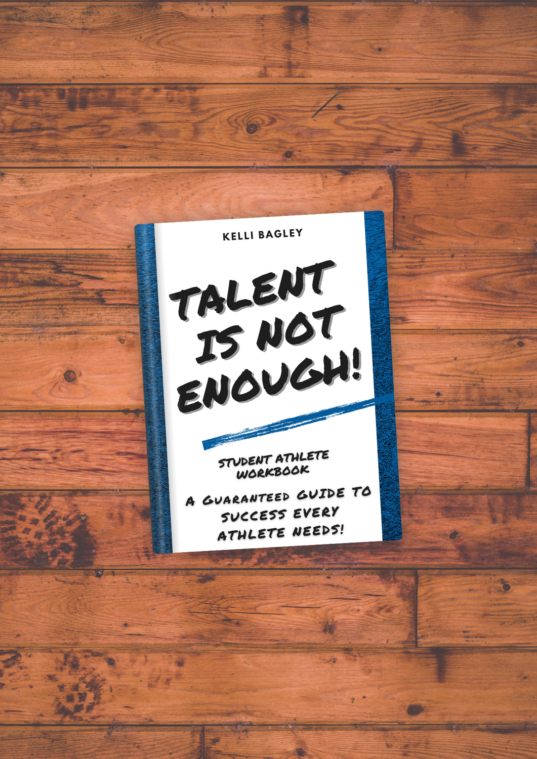 Talent Is Not Enough Mentorship