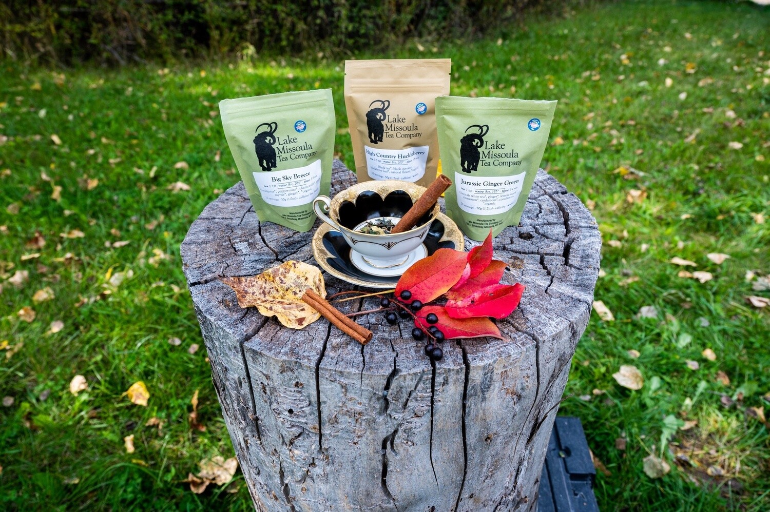 Jurassic Ginger Green Loose-Leaf Tea