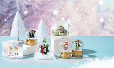 Snow Globes