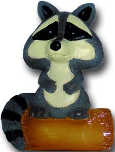 Raccoon Magnet