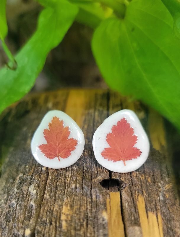 Ninebark Antler Stud Earrings