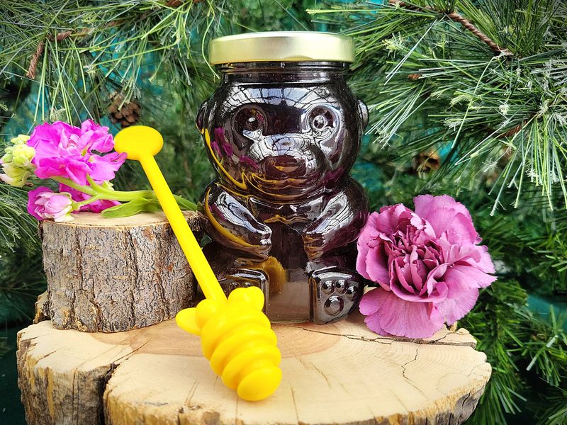Wild Huckleberry Honey Bear
