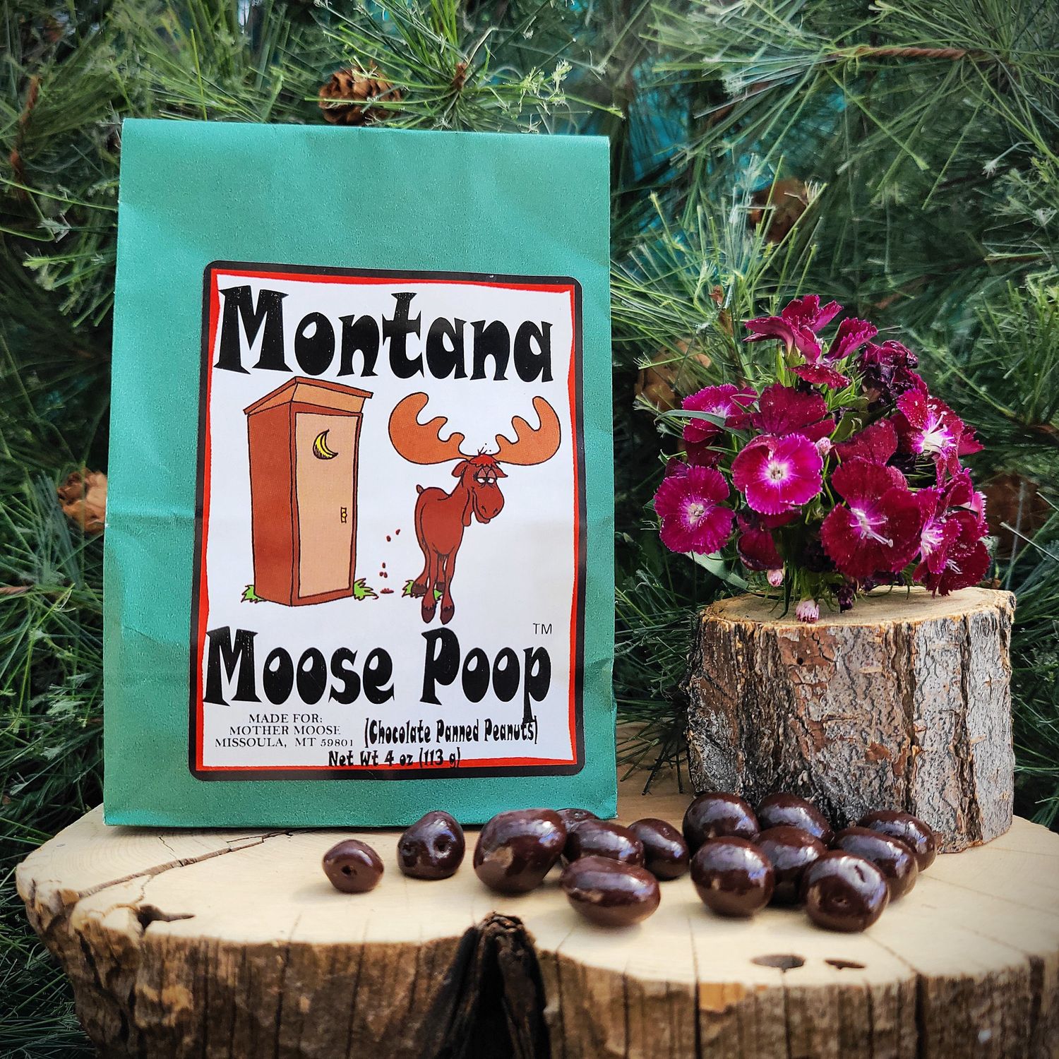 Moose Poop